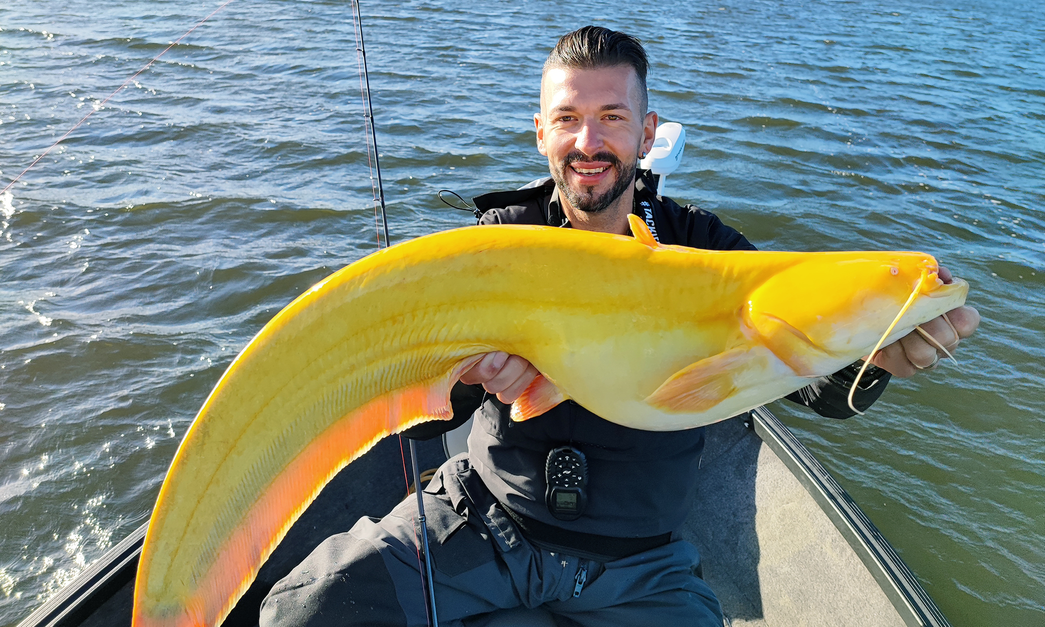 German Fisherman Catches Ultra-Rare Bright-Yellow Catfish That Looks Like  Giant Banana